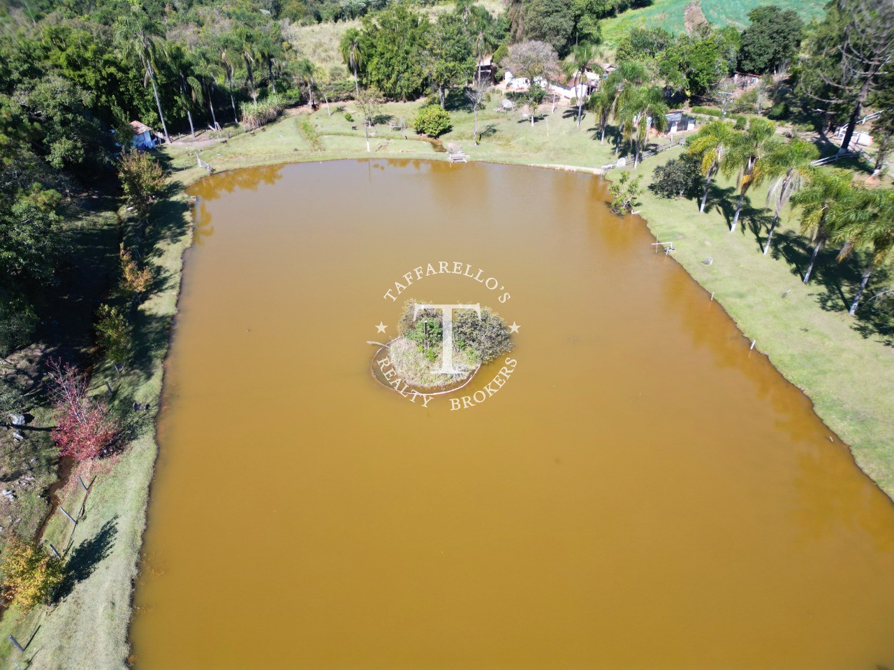 Fazenda à venda com 5 quartos, 1000m² - Foto 11