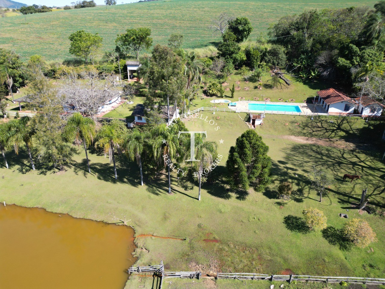 Fazenda à venda com 5 quartos, 1000m² - Foto 12