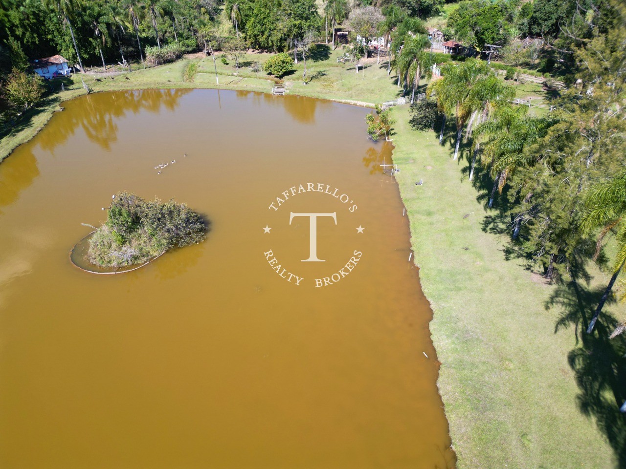 Fazenda à venda com 5 quartos, 1000m² - Foto 3