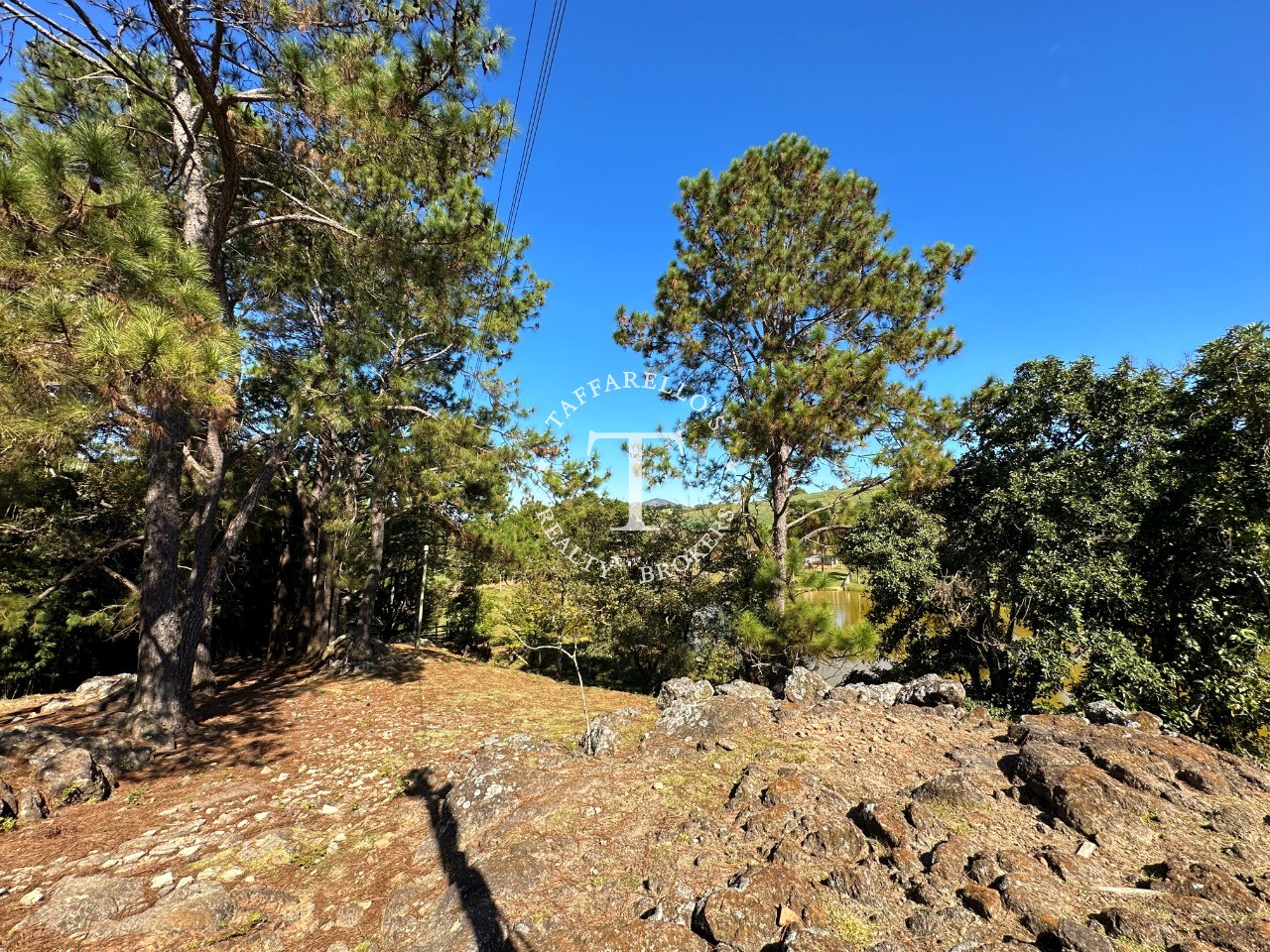 Fazenda à venda com 5 quartos, 1000m² - Foto 66