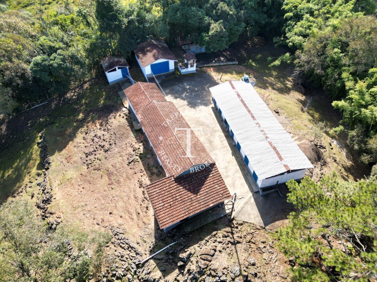 Fazenda à venda com 5 quartos, 1000m² - Foto 6