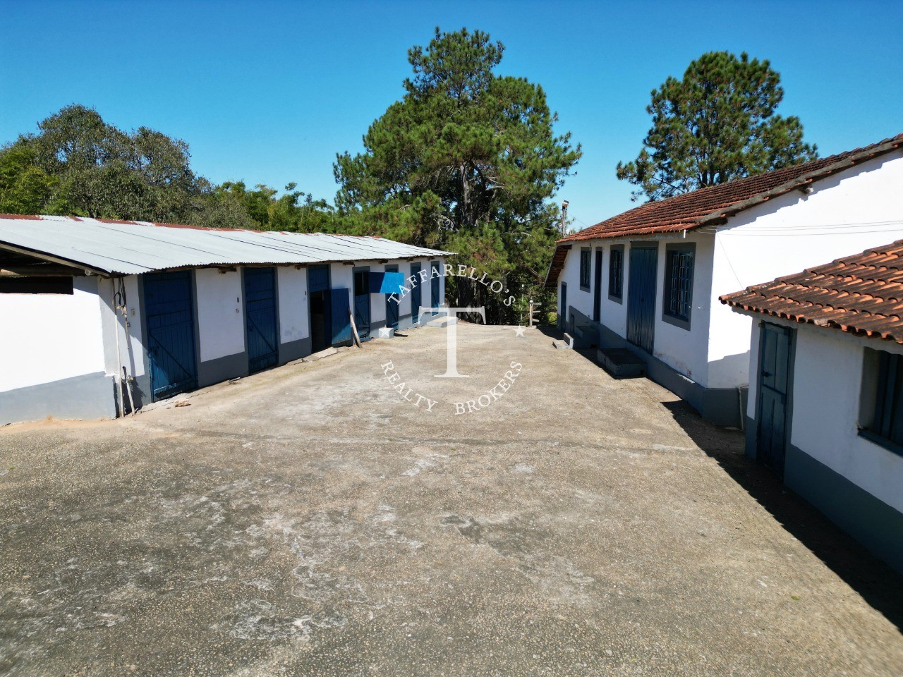 Fazenda à venda com 5 quartos, 1000m² - Foto 15