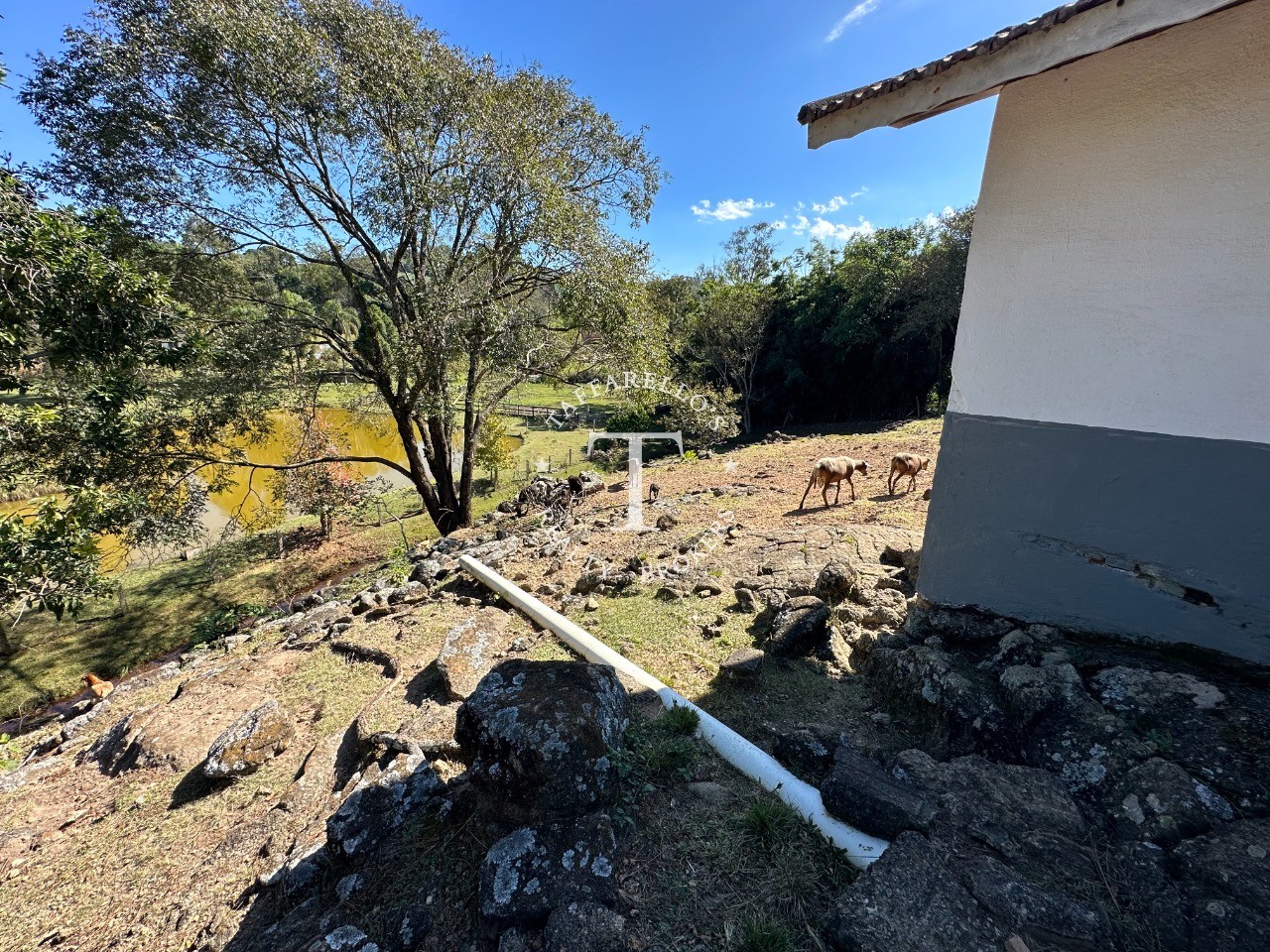 Fazenda à venda com 5 quartos, 1000m² - Foto 68