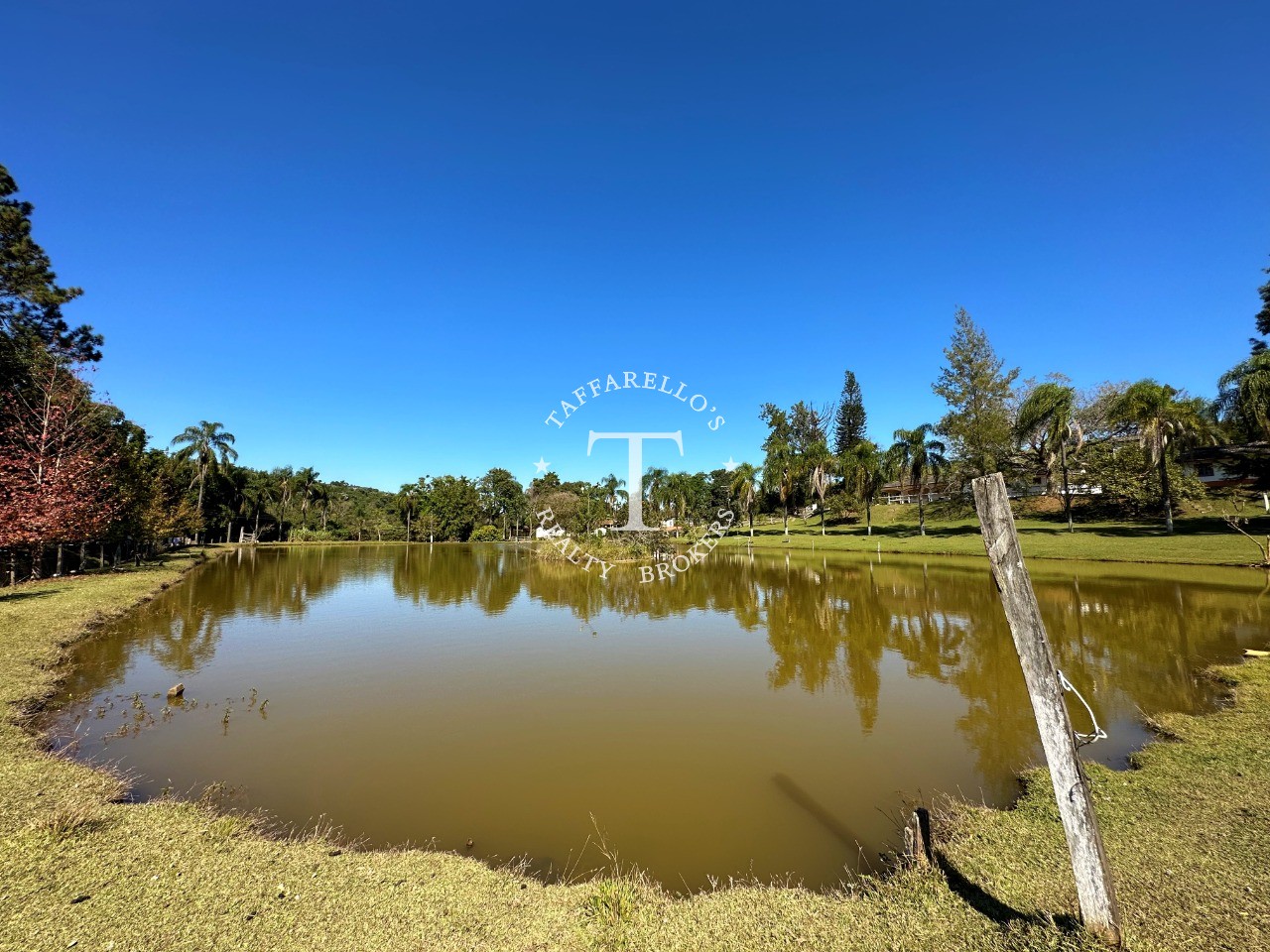 Fazenda à venda com 5 quartos, 1000m² - Foto 60