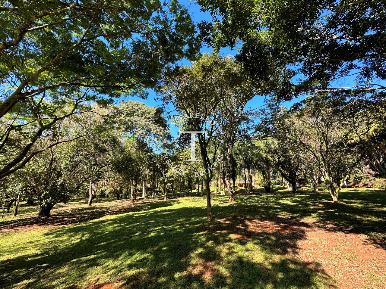 Fazenda à venda com 3 quartos, 700m² - Foto 25