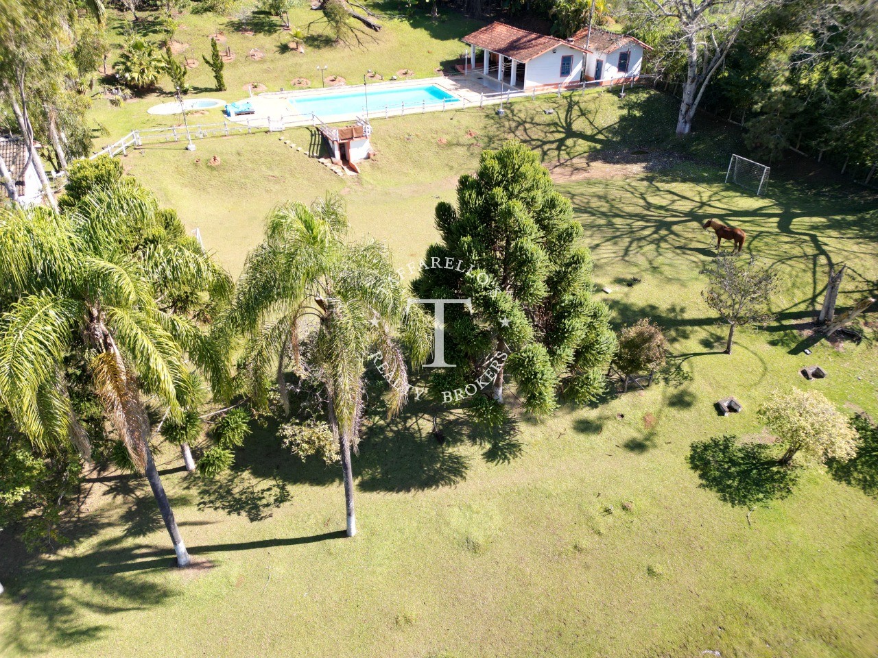 Fazenda à venda com 5 quartos, 1000m² - Foto 2