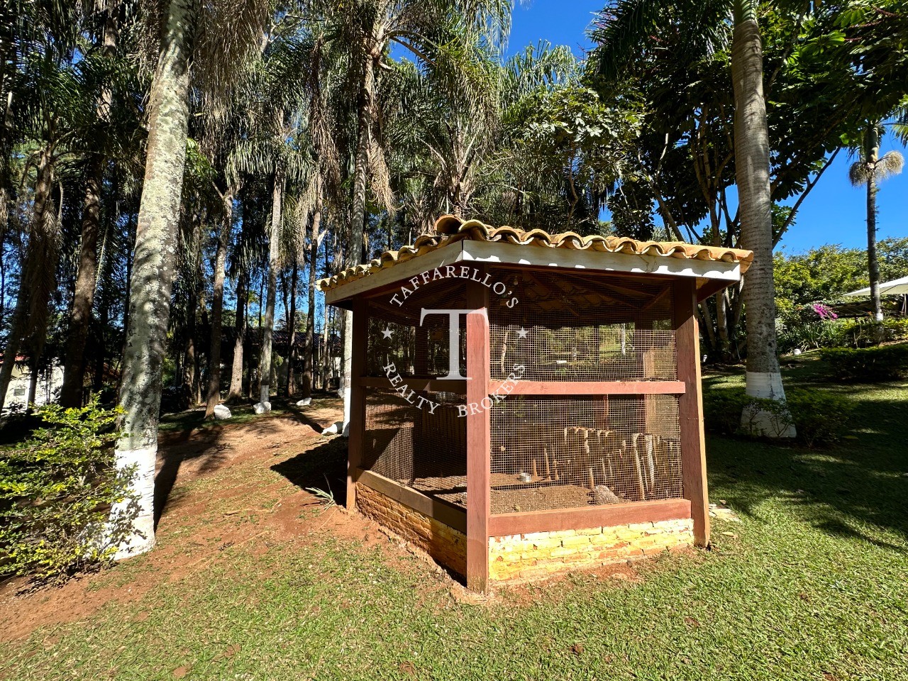 Fazenda à venda com 3 quartos, 700m² - Foto 32