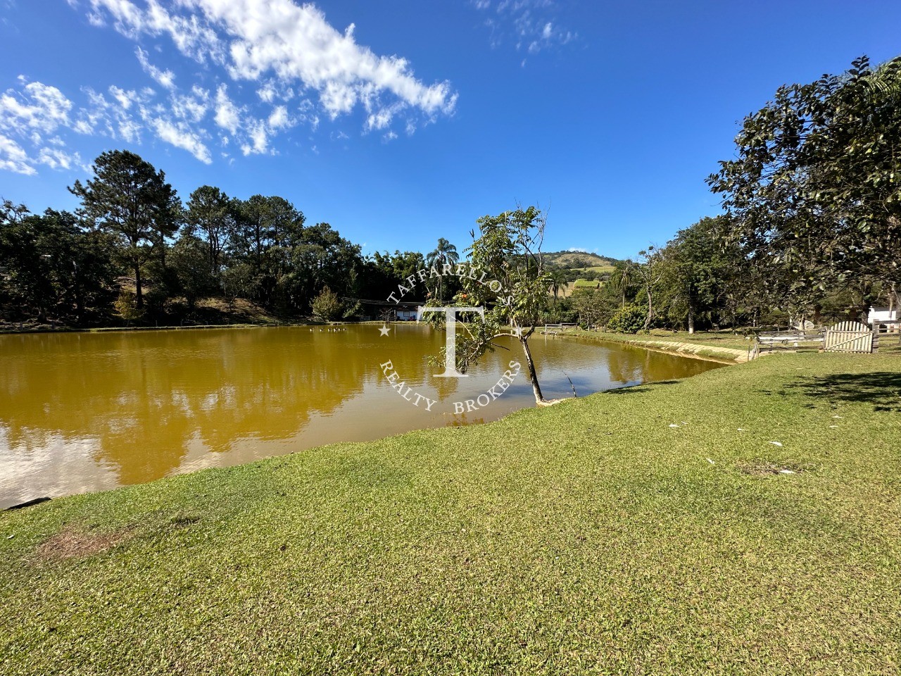 Fazenda à venda com 5 quartos, 1000m² - Foto 57