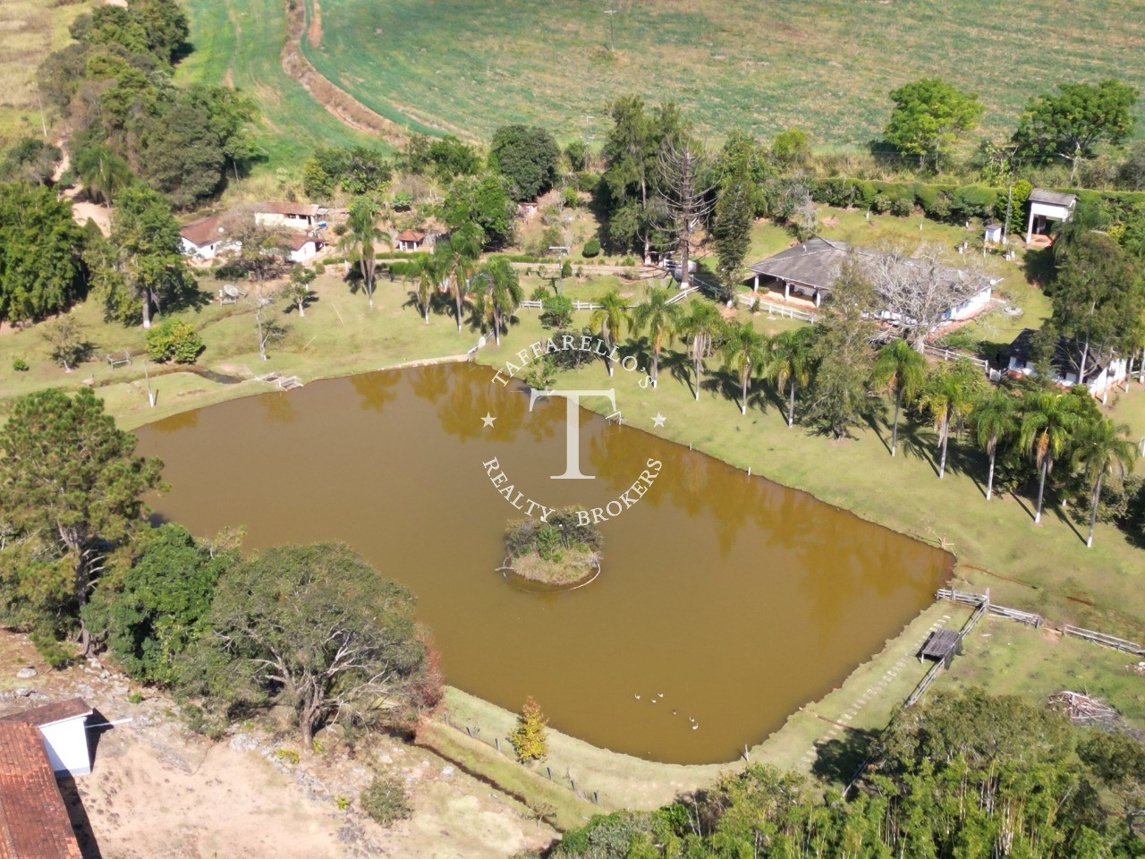 Fazenda à venda com 5 quartos, 1000m² - Foto 8