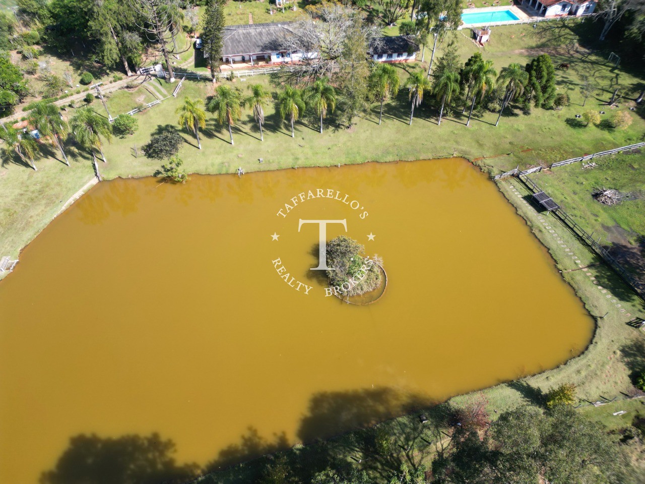 Fazenda à venda com 5 quartos, 1000m² - Foto 7