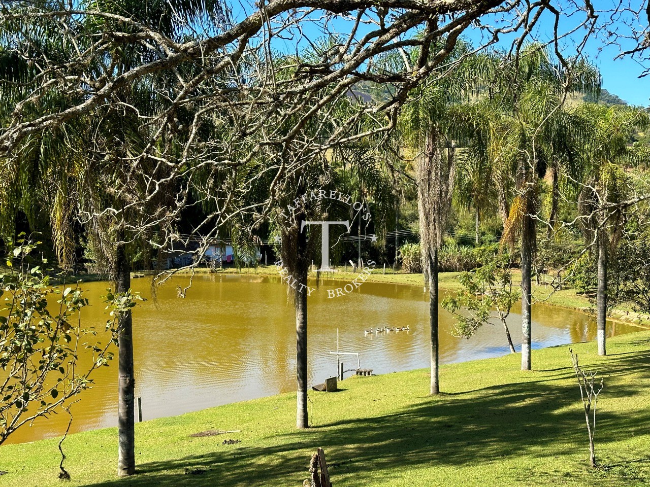 Fazenda à venda com 5 quartos, 1000m² - Foto 55