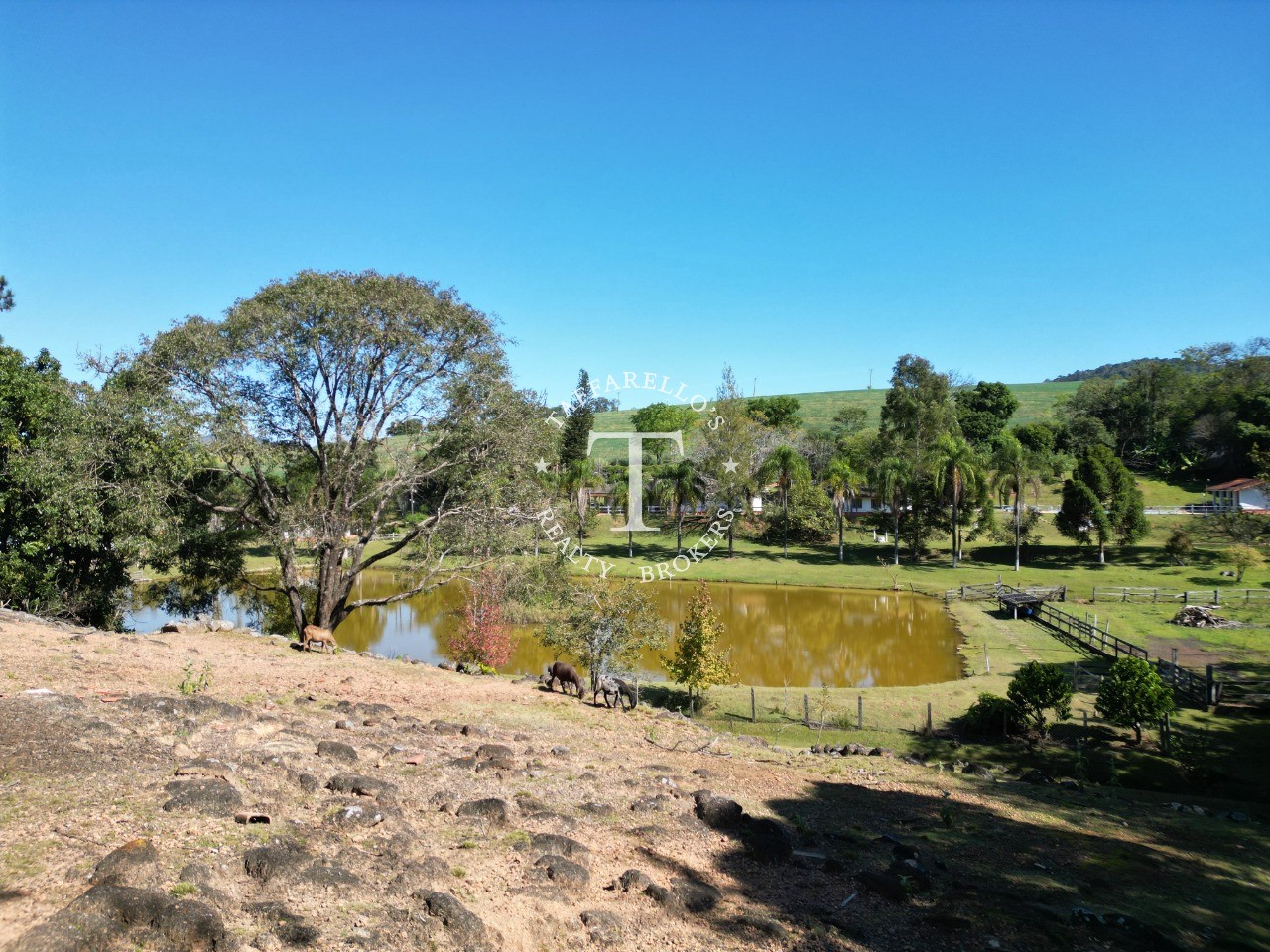 Fazenda à venda com 5 quartos, 1000m² - Foto 13