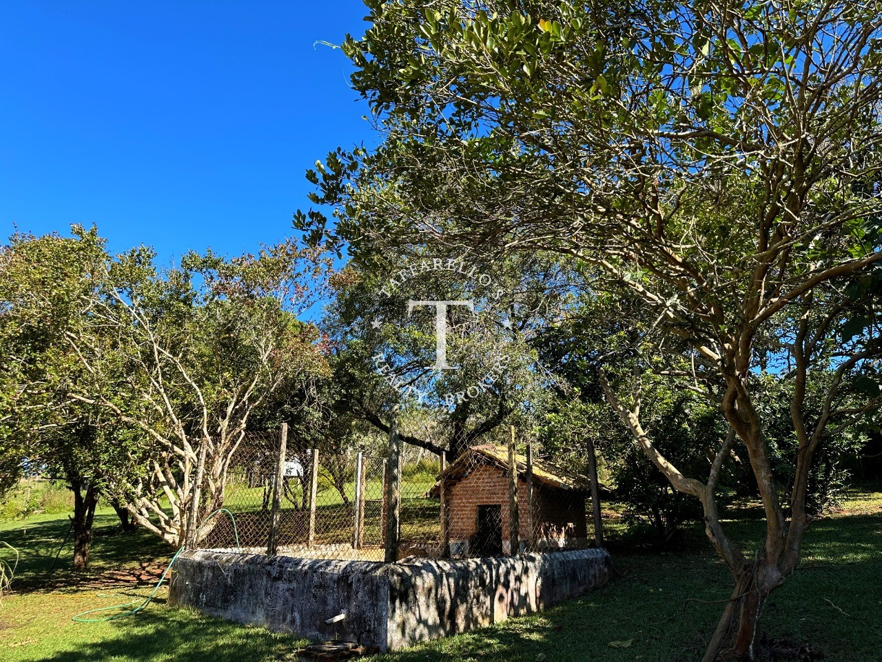 Fazenda à venda com 3 quartos, 700m² - Foto 19