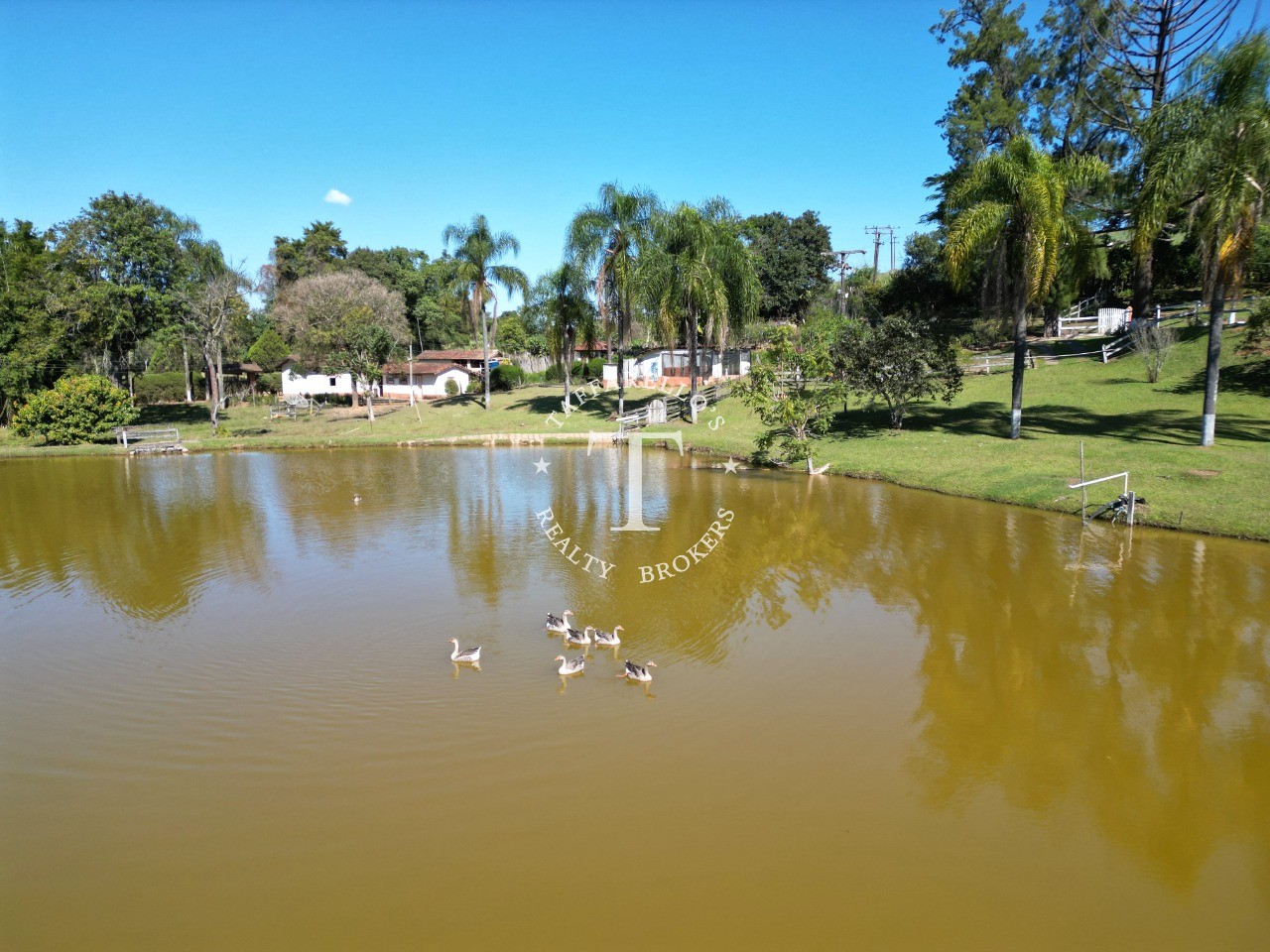 Fazenda à venda com 5 quartos, 1000m² - Foto 16