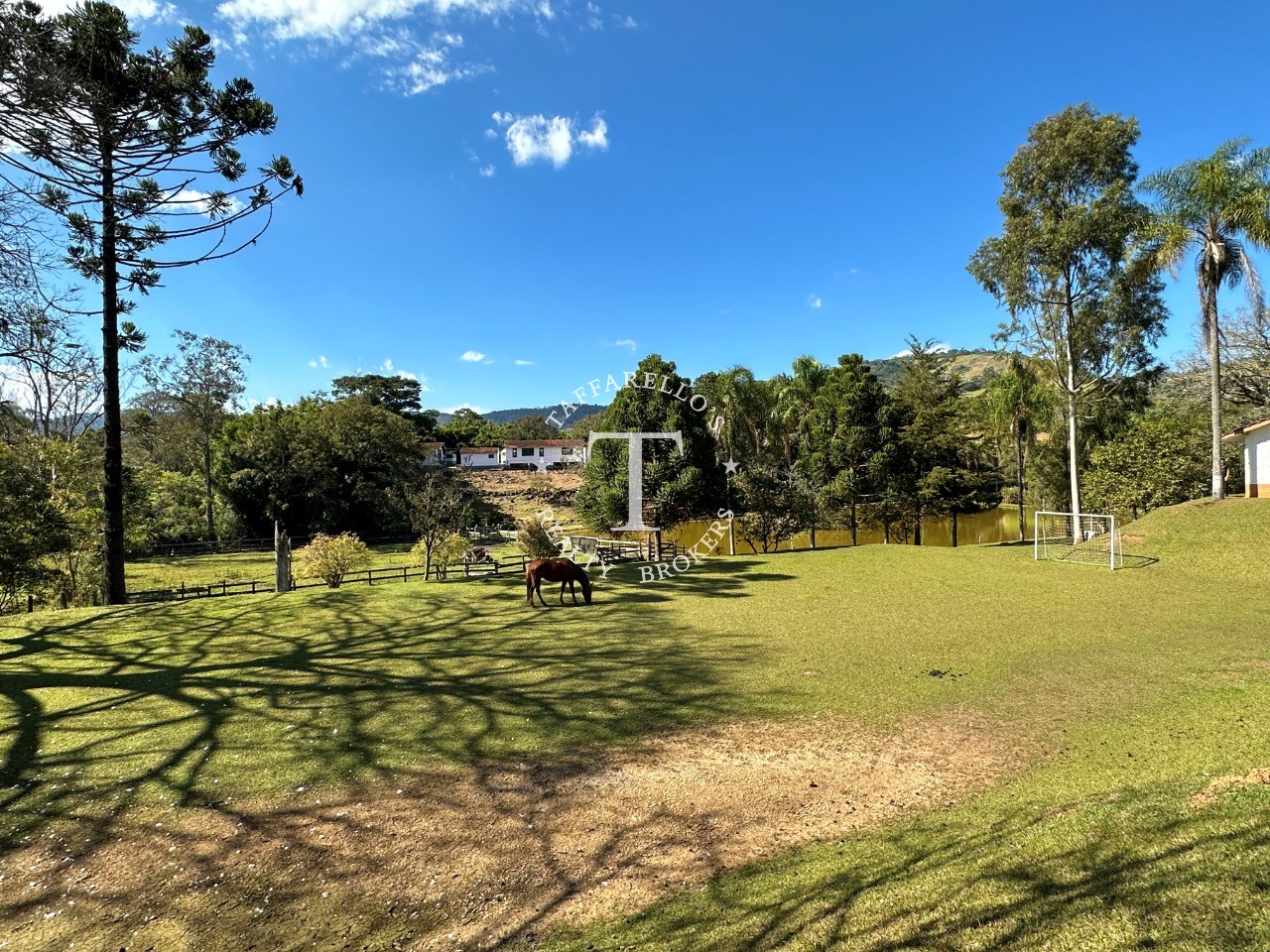 Fazenda à venda com 5 quartos, 1000m² - Foto 53