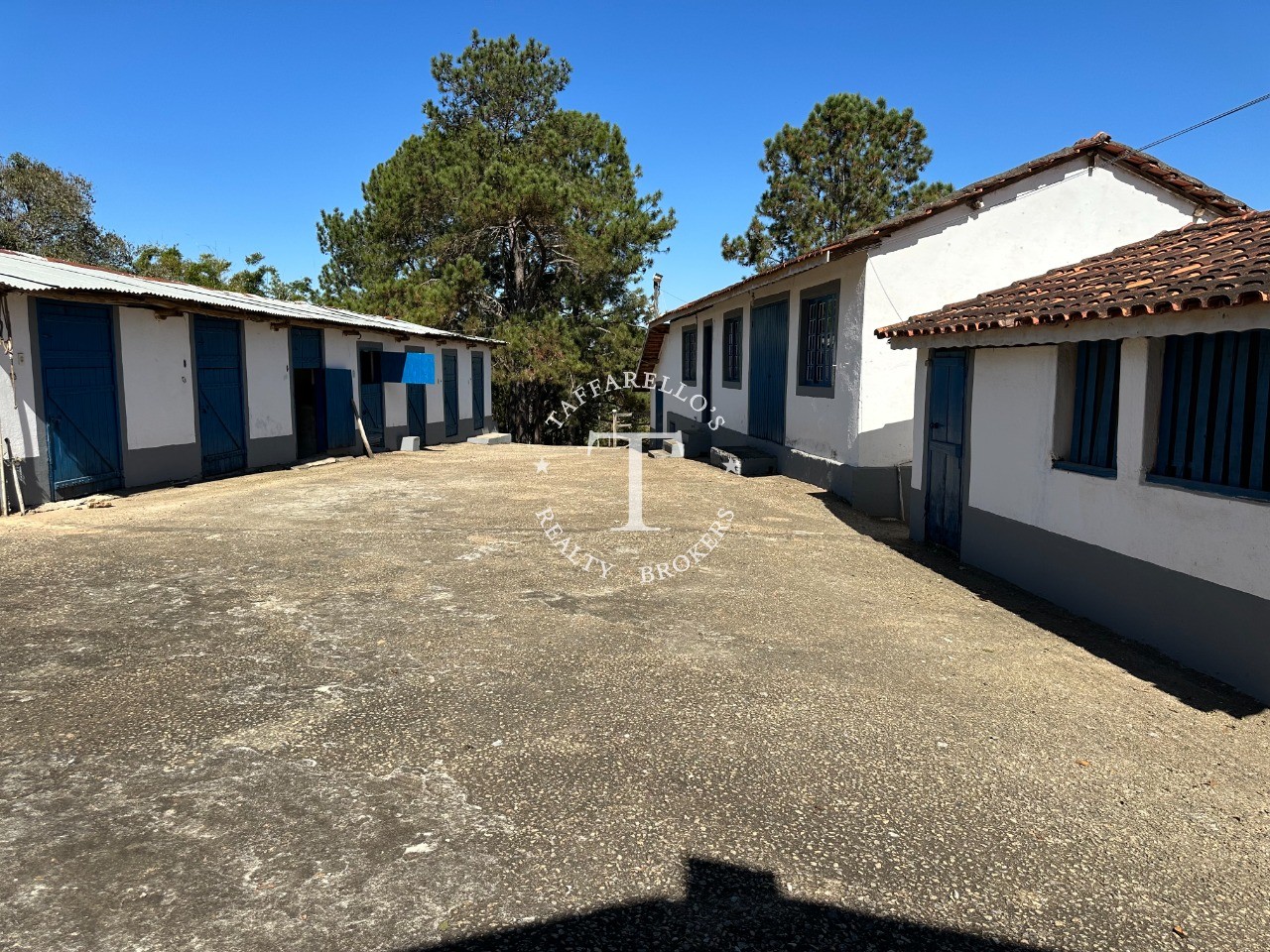 Fazenda à venda com 5 quartos, 1000m² - Foto 61