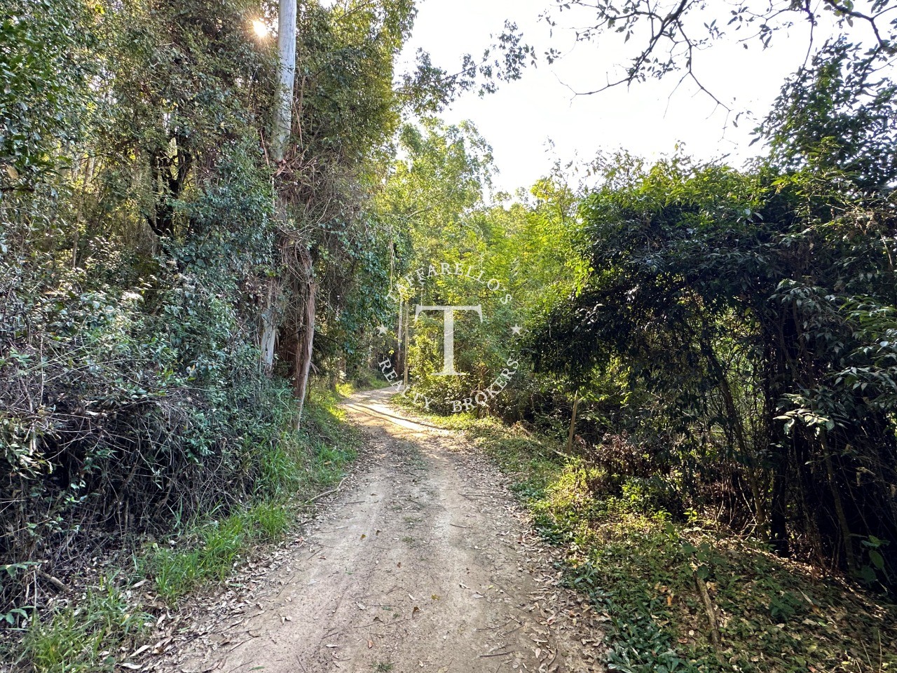 Fazenda à venda com 7 quartos, 1500m² - Foto 11