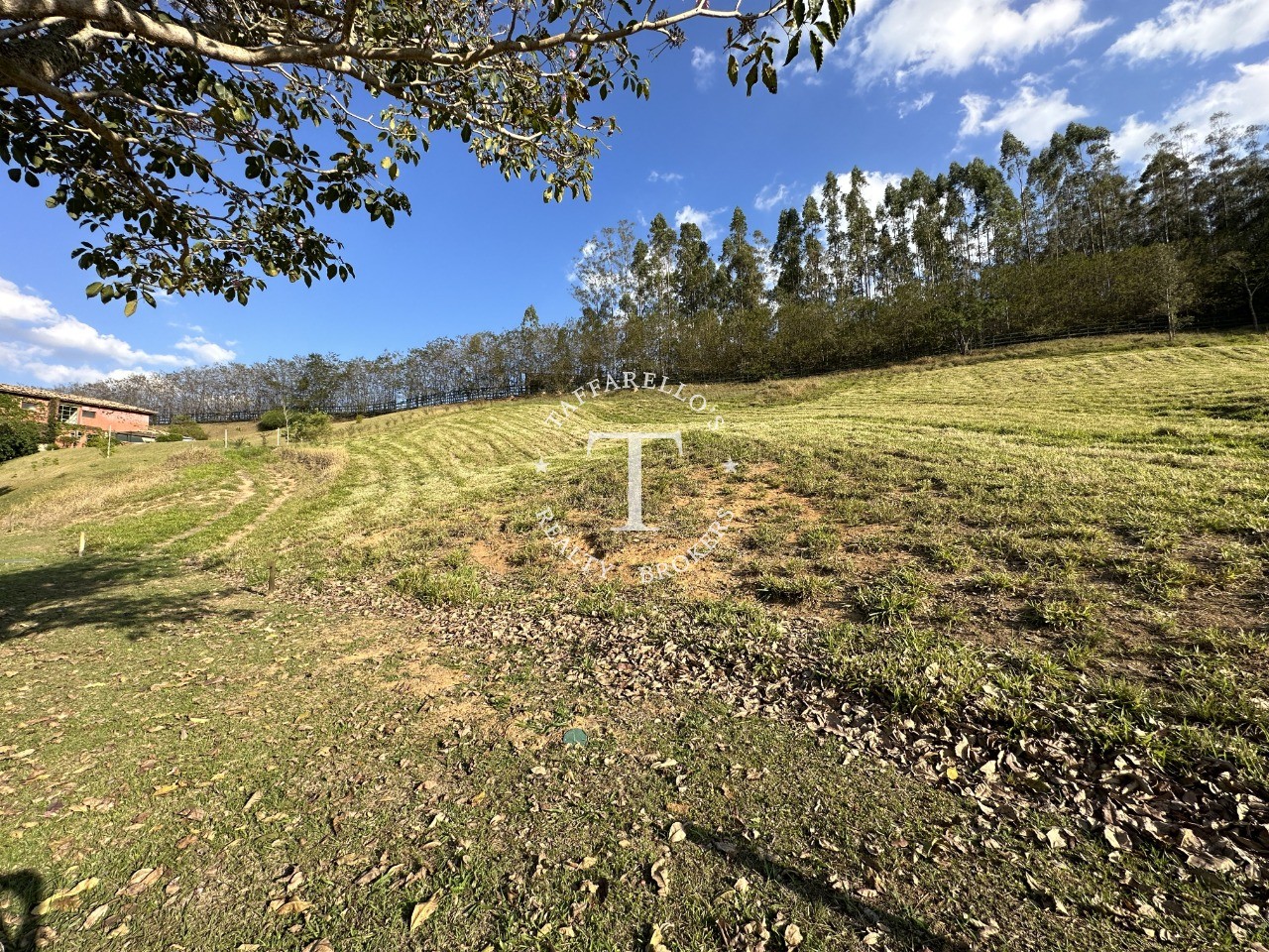 Terreno à venda, 3259m² - Foto 5