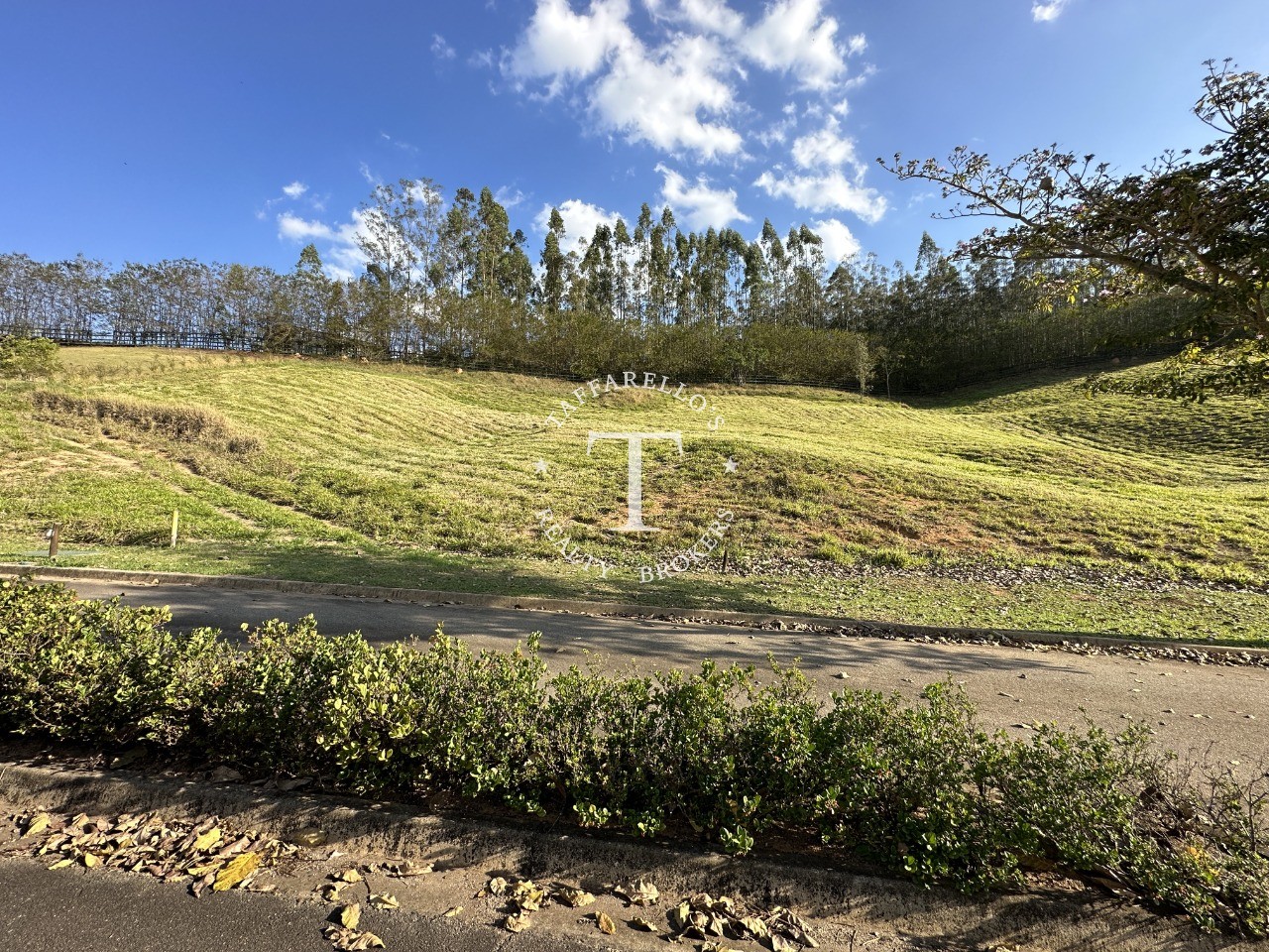 Terreno à venda, 3259m² - Foto 7