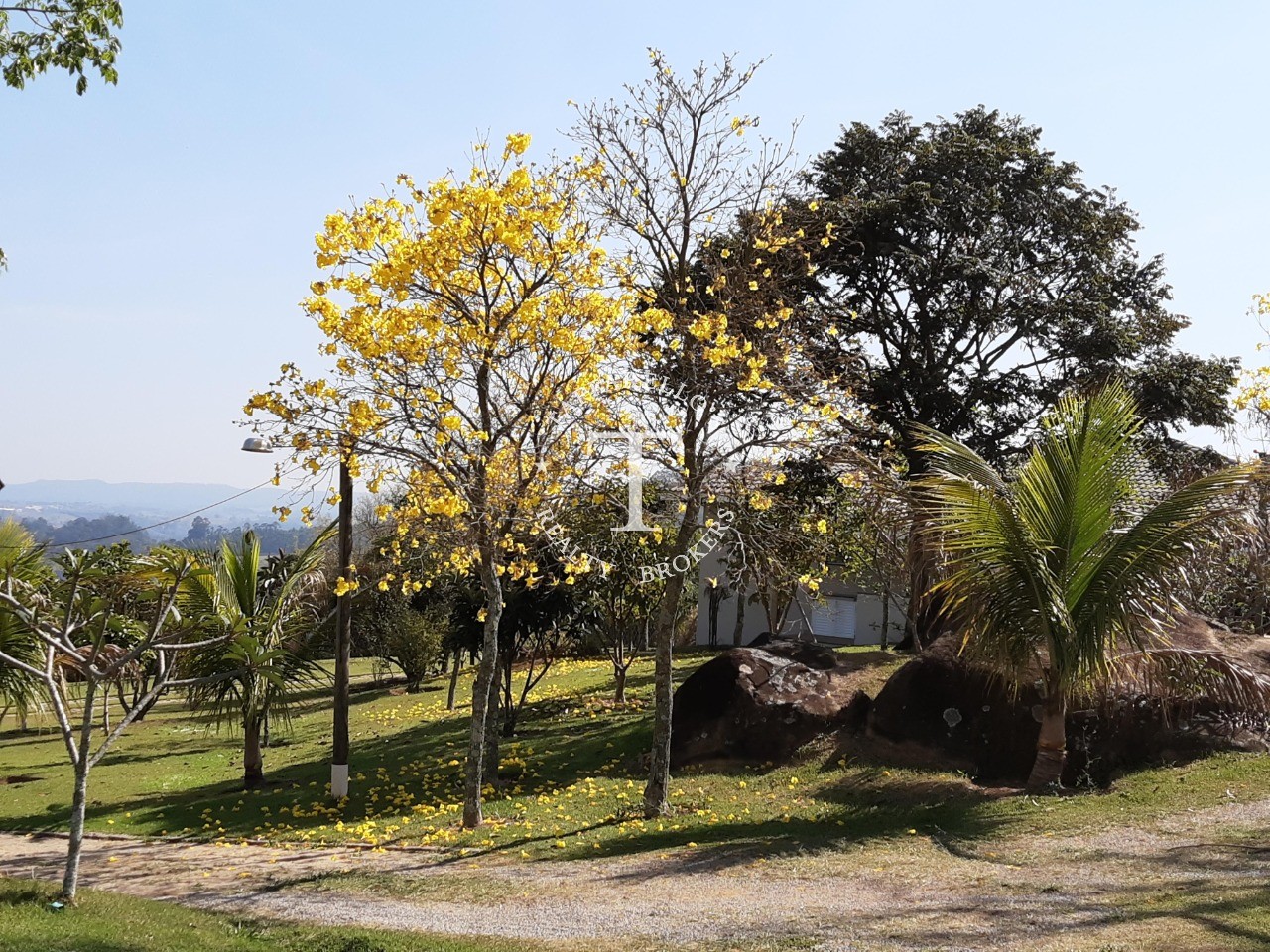 Casa de Condomínio à venda com 3 quartos, 350m² - Foto 5