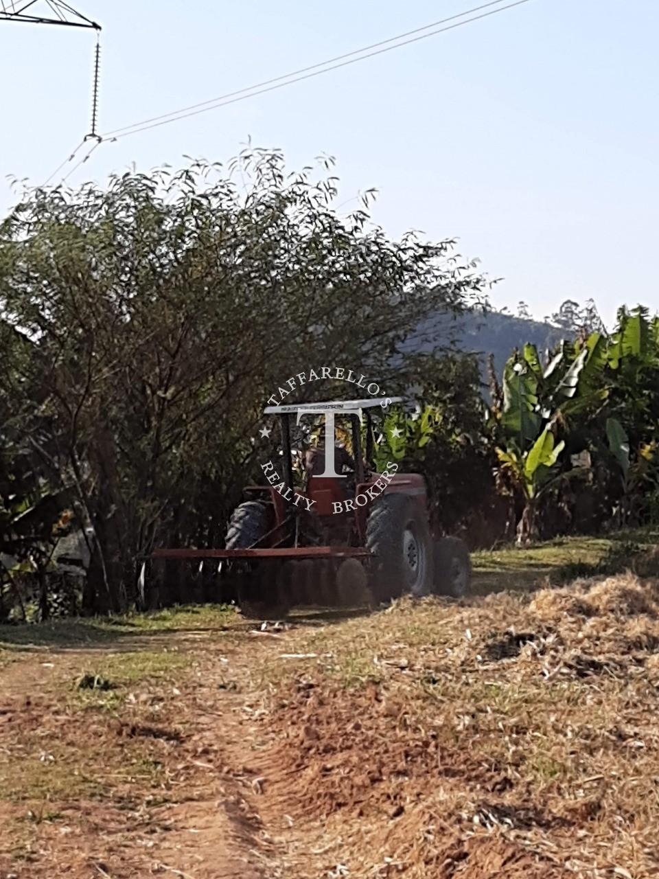 Casa de Condomínio à venda com 3 quartos, 350m² - Foto 22