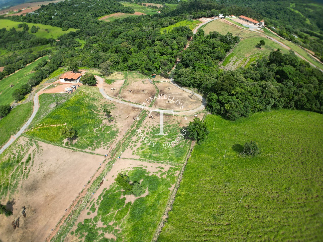 Fazenda à venda com 5 quartos, 2000m² - Foto 13