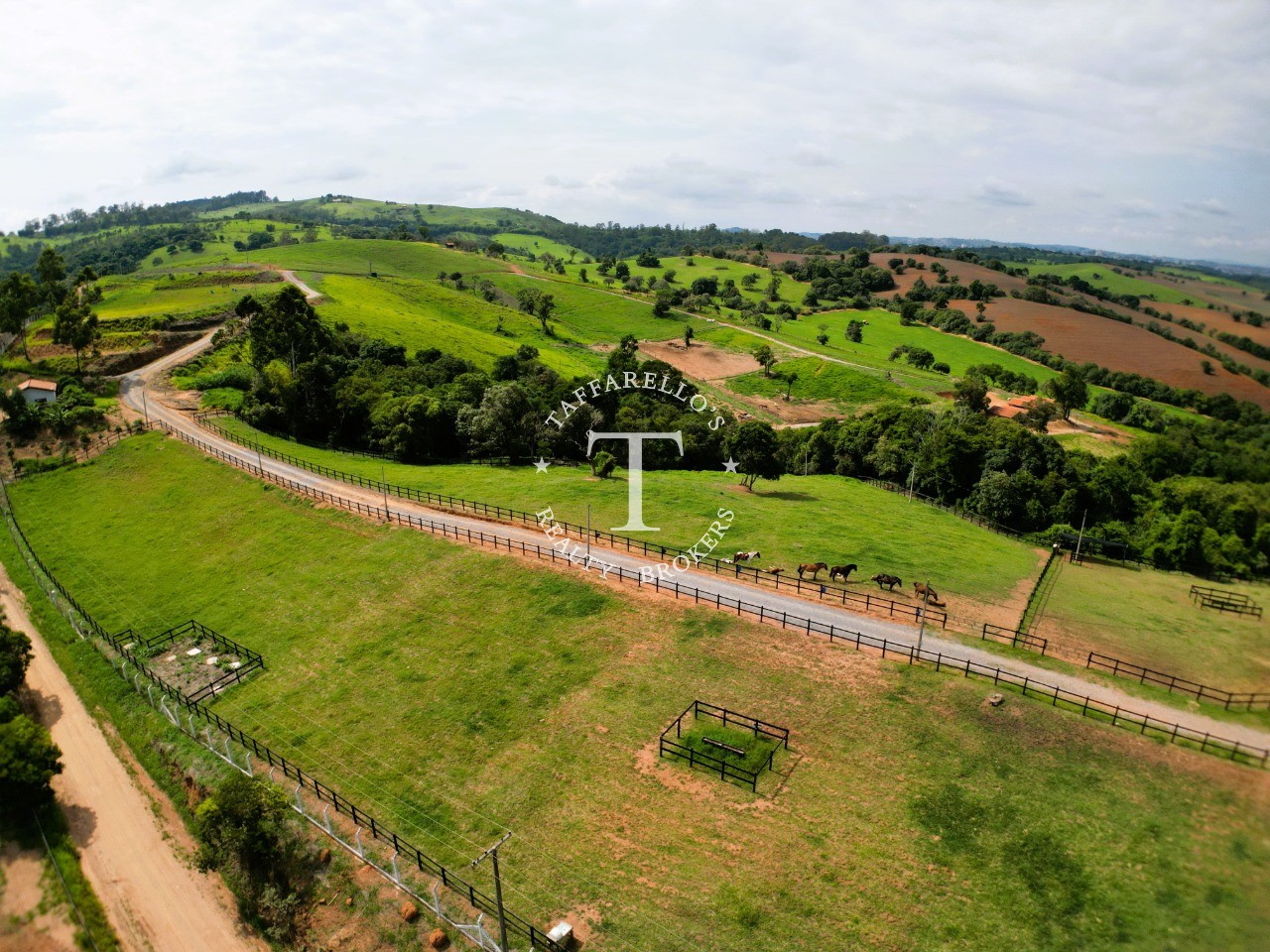 Fazenda à venda com 5 quartos, 2000m² - Foto 4