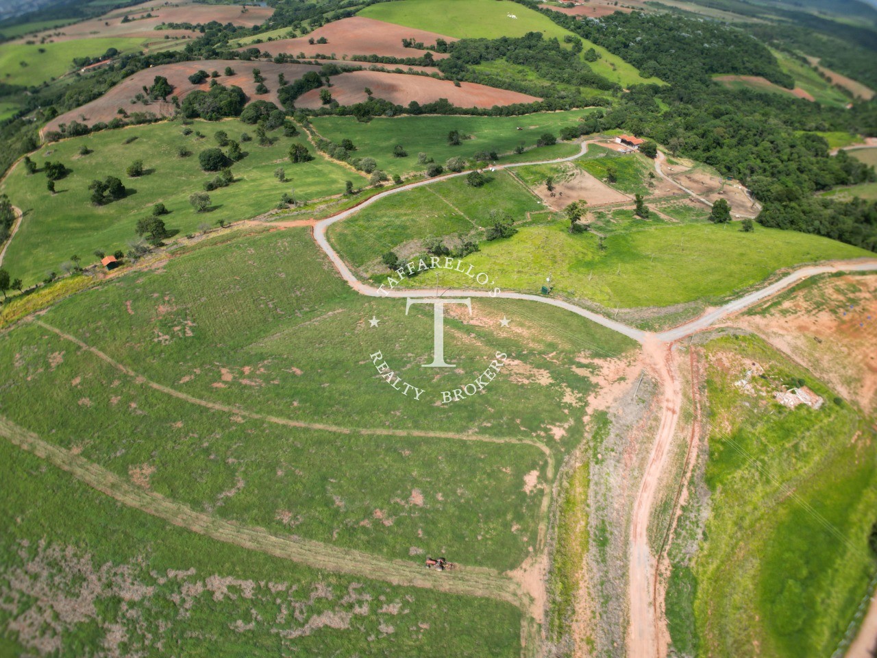 Fazenda à venda com 5 quartos, 2000m² - Foto 11