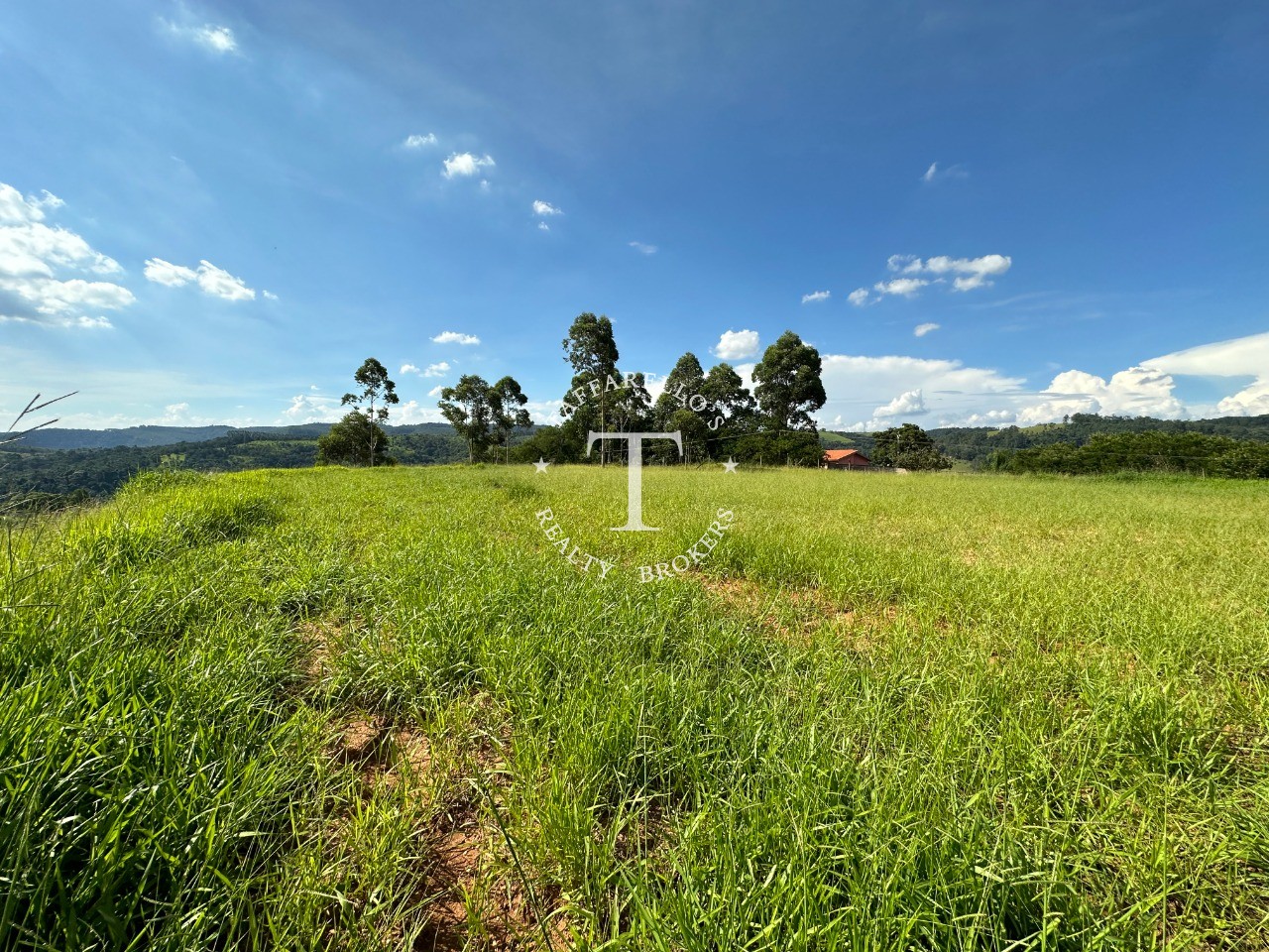 Fazenda à venda com 5 quartos, 2000m² - Foto 58