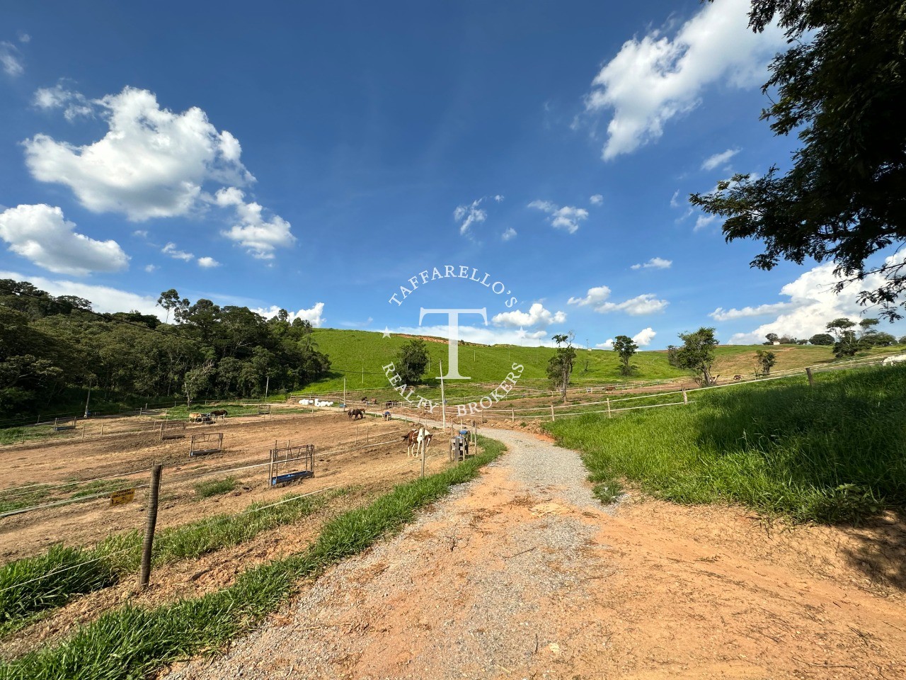 Fazenda à venda com 5 quartos, 2000m² - Foto 67