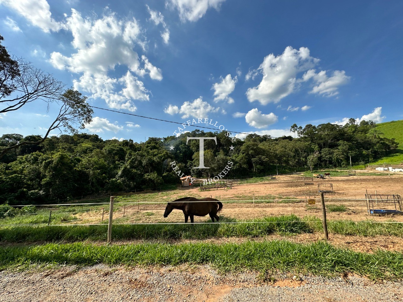 Fazenda à venda com 5 quartos, 2000m² - Foto 66