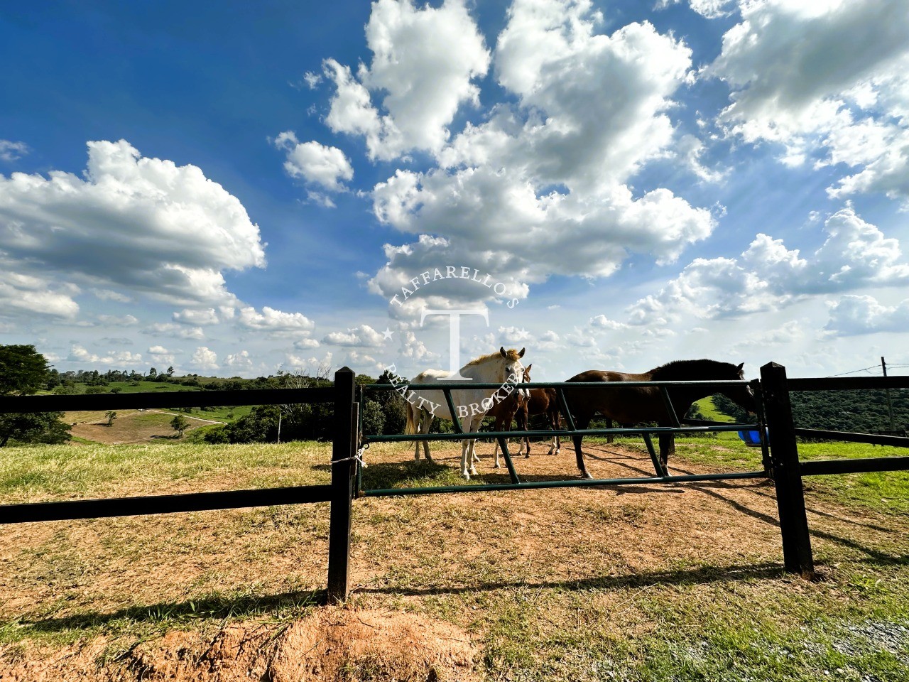 Fazenda à venda com 5 quartos, 2000m² - Foto 55