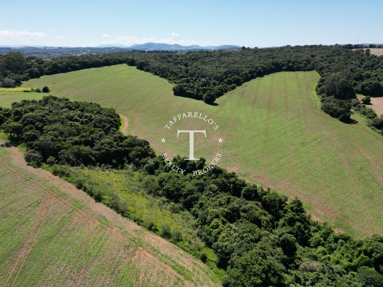 Fazenda à venda com 1 quarto, 366050m² - Foto 4