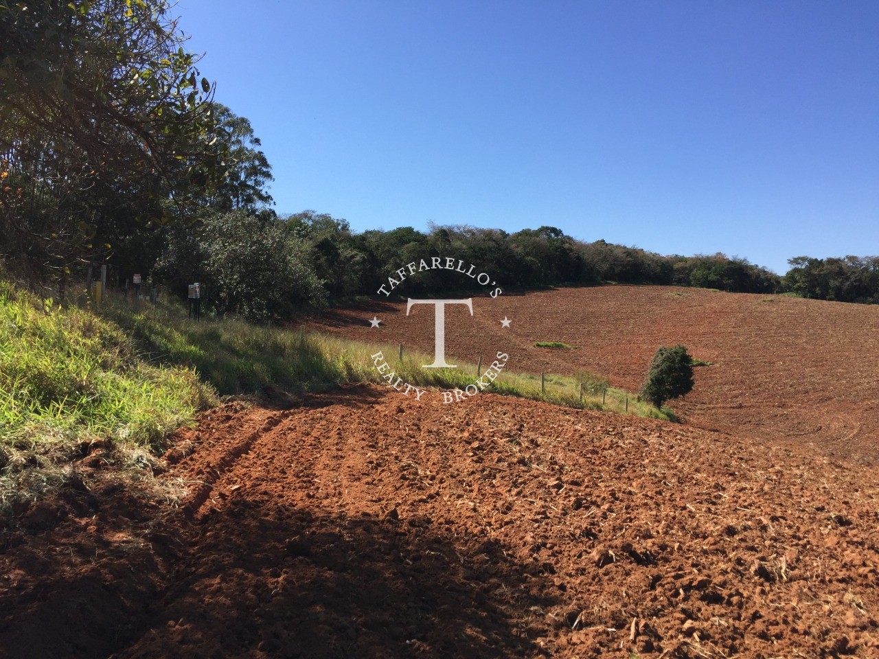 Fazenda à venda com 1 quarto, 366050m² - Foto 21