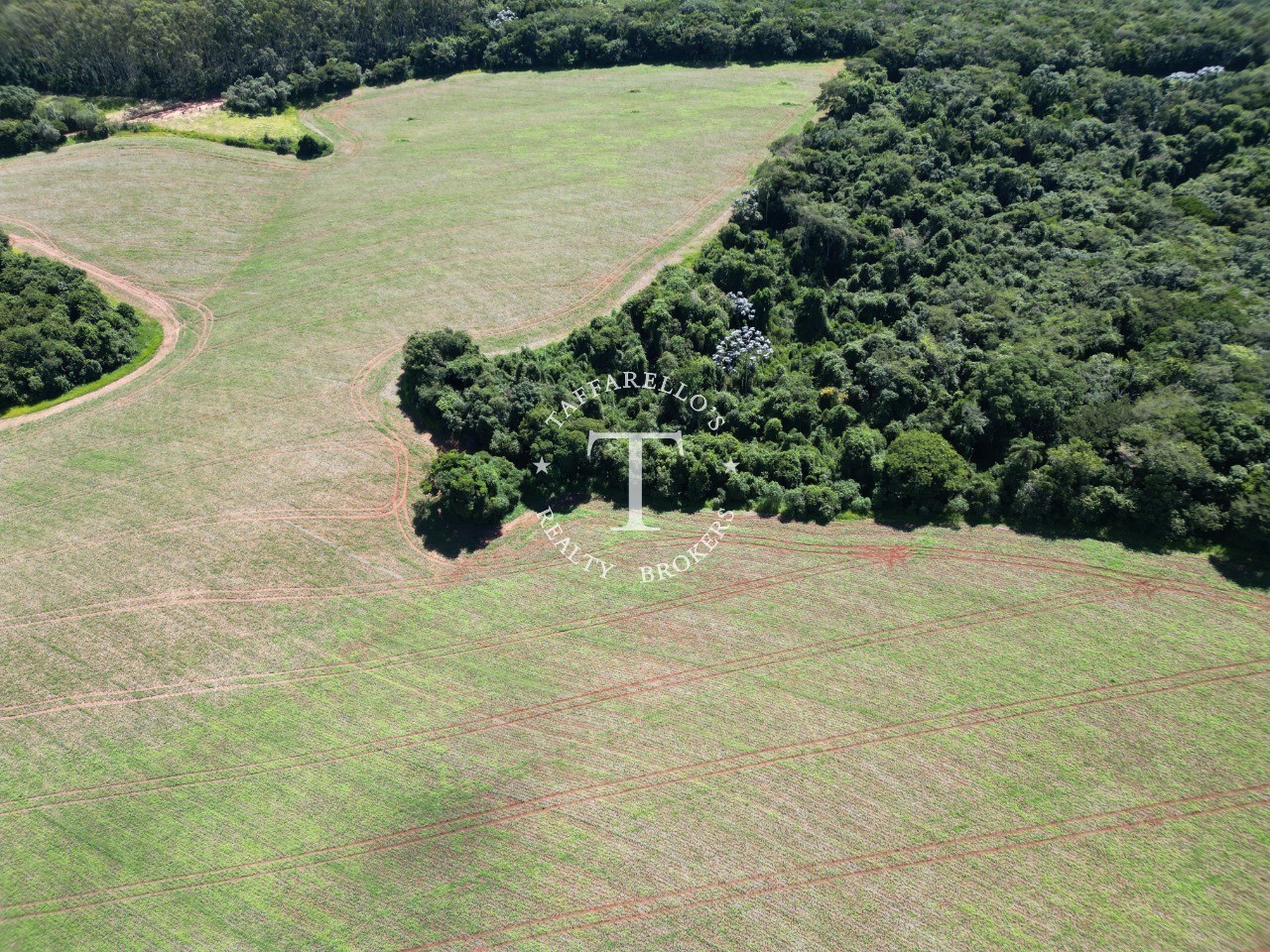 Fazenda à venda com 1 quarto, 366050m² - Foto 13