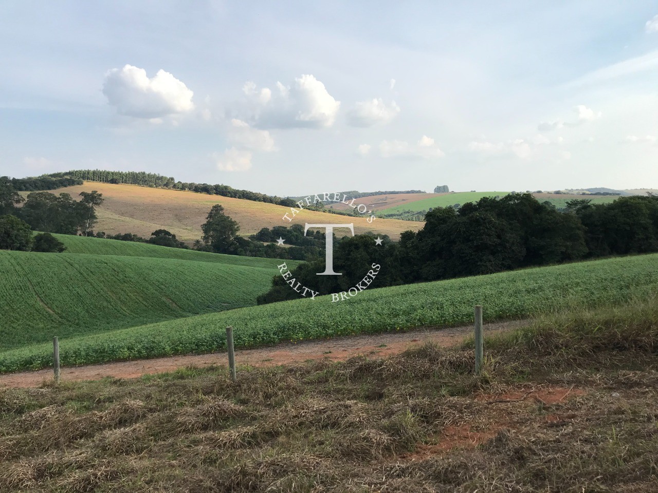 Fazenda à venda com 1 quarto, 366050m² - Foto 16