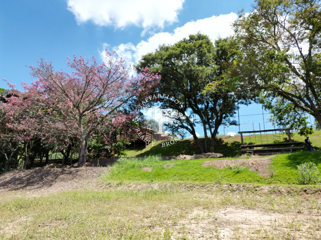 Fazenda à venda com 4 quartos, 500m² - Foto 19