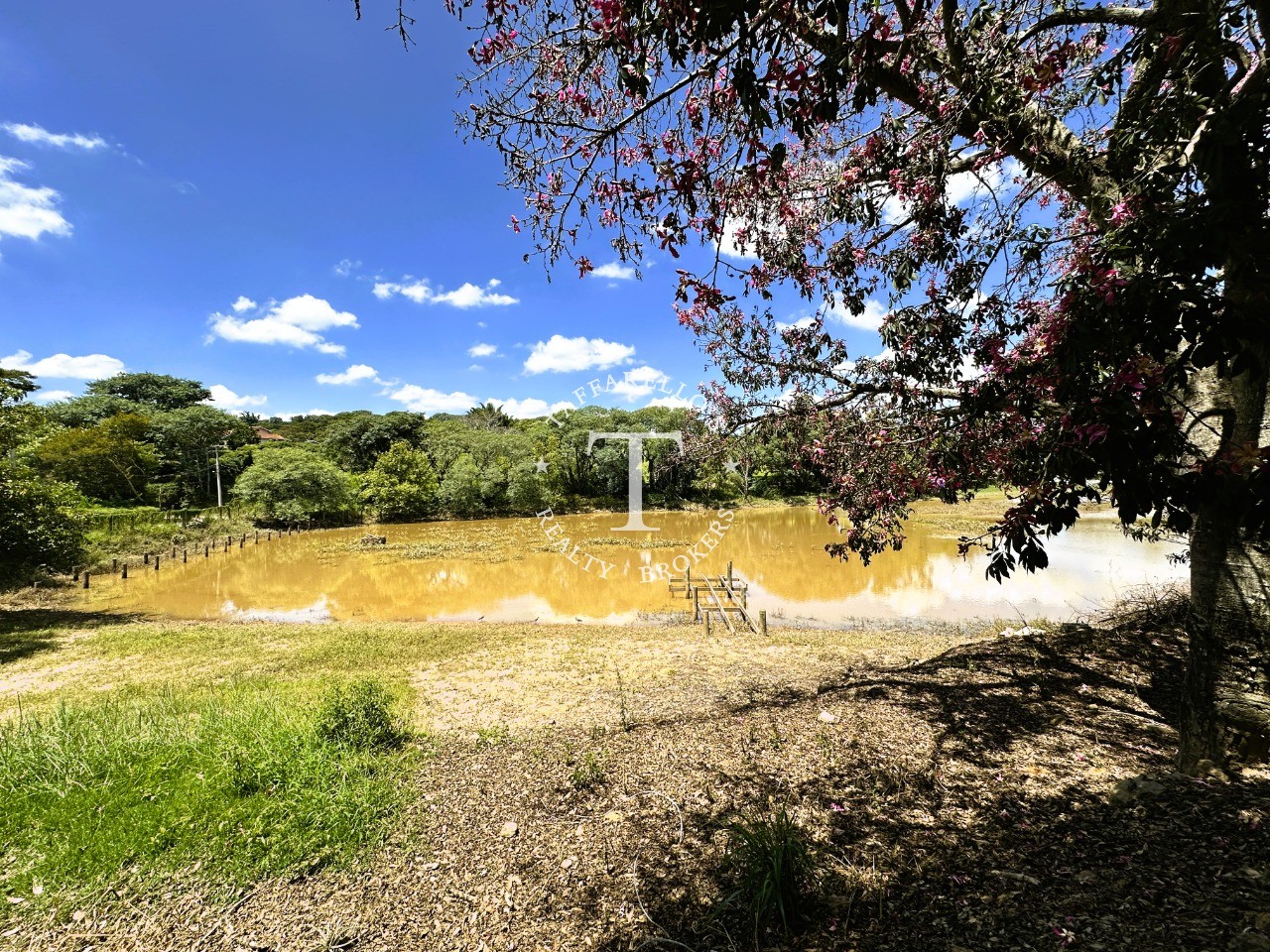 Fazenda à venda com 4 quartos, 500m² - Foto 53