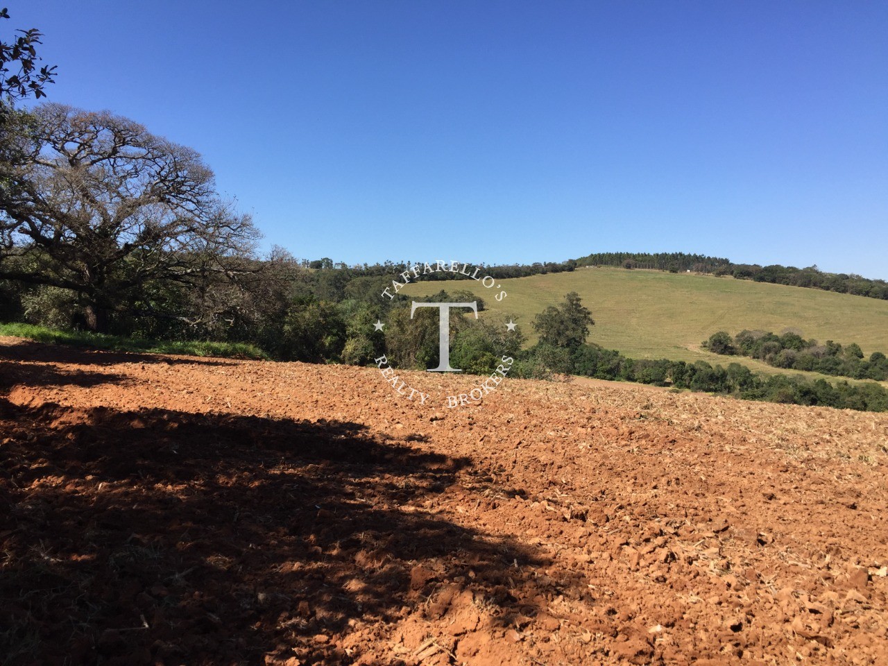 Fazenda à venda com 1 quarto, 366050m² - Foto 23