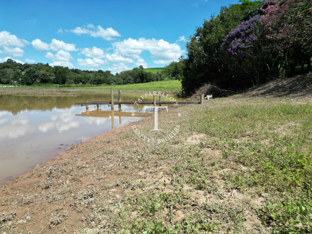 Fazenda à venda com 4 quartos, 500m² - Foto 18