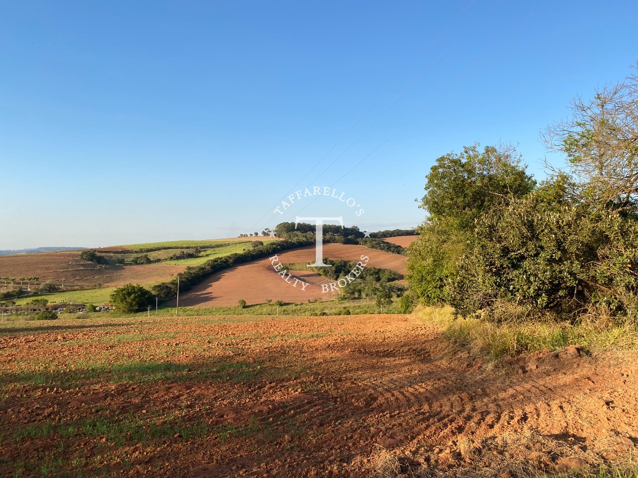 Fazenda à venda com 1 quarto, 366050m² - Foto 32