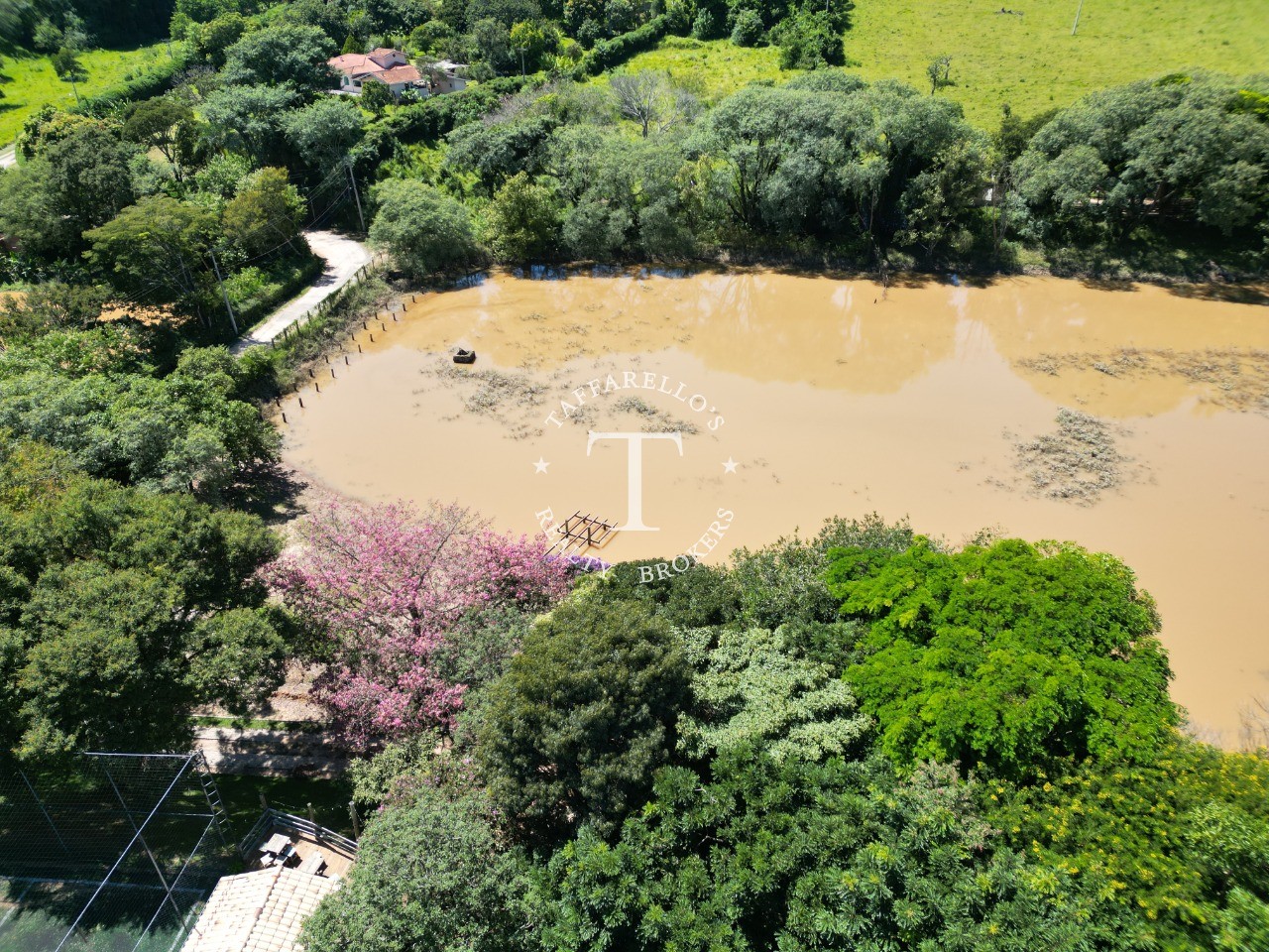 Fazenda à venda com 4 quartos, 500m² - Foto 2