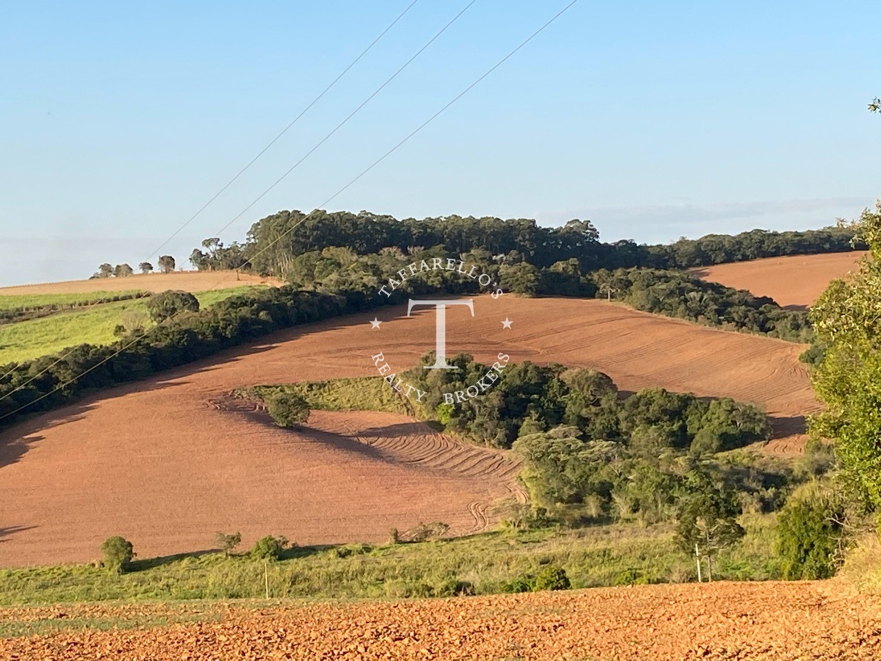 Fazenda à venda com 1 quarto, 366050m² - Foto 33