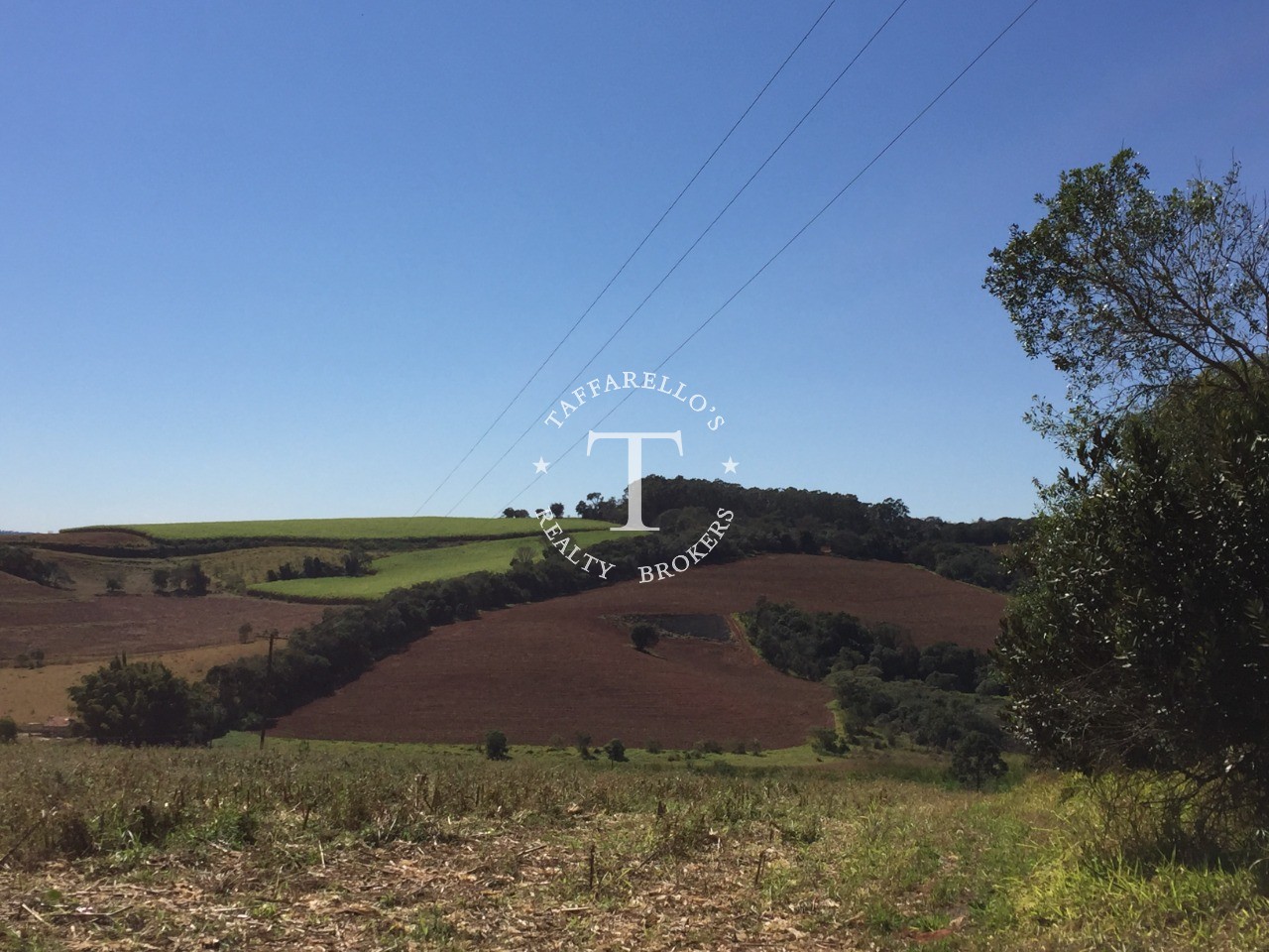 Fazenda à venda com 1 quarto, 366050m² - Foto 27