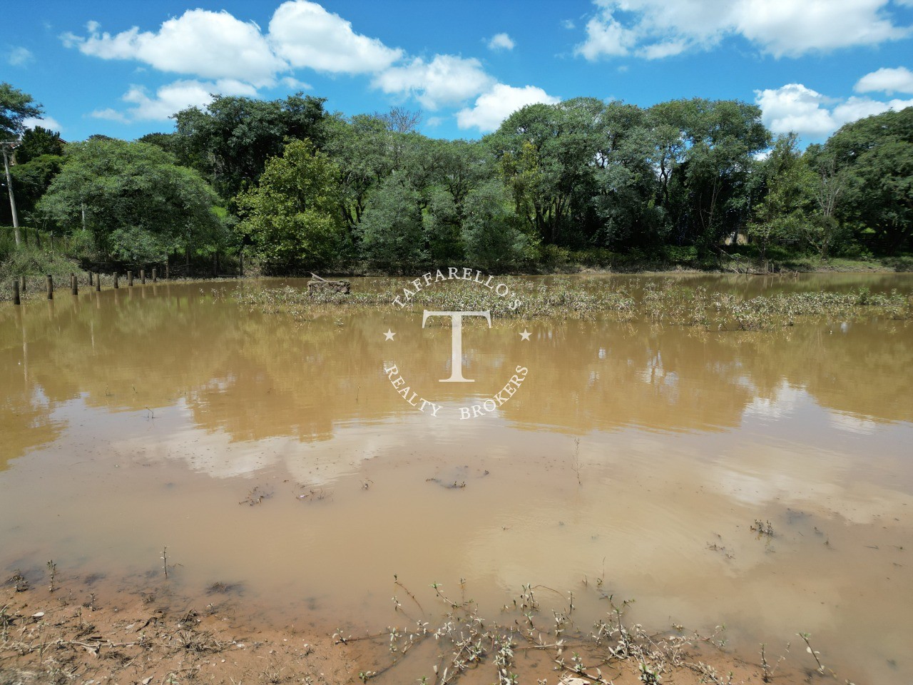 Fazenda à venda com 4 quartos, 500m² - Foto 17