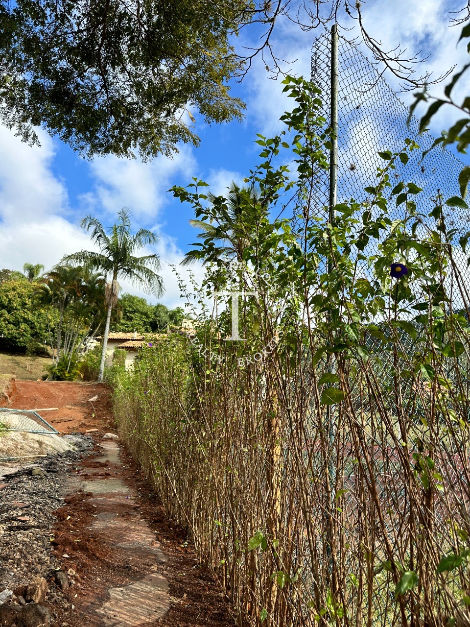 Terreno à venda, 2000m² - Foto 7