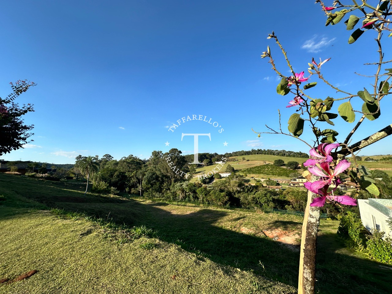 Terreno à venda, 2958m² - Foto 7