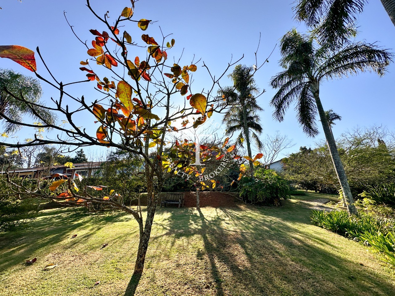 Fazenda à venda com 2 quartos, 326m² - Foto 36