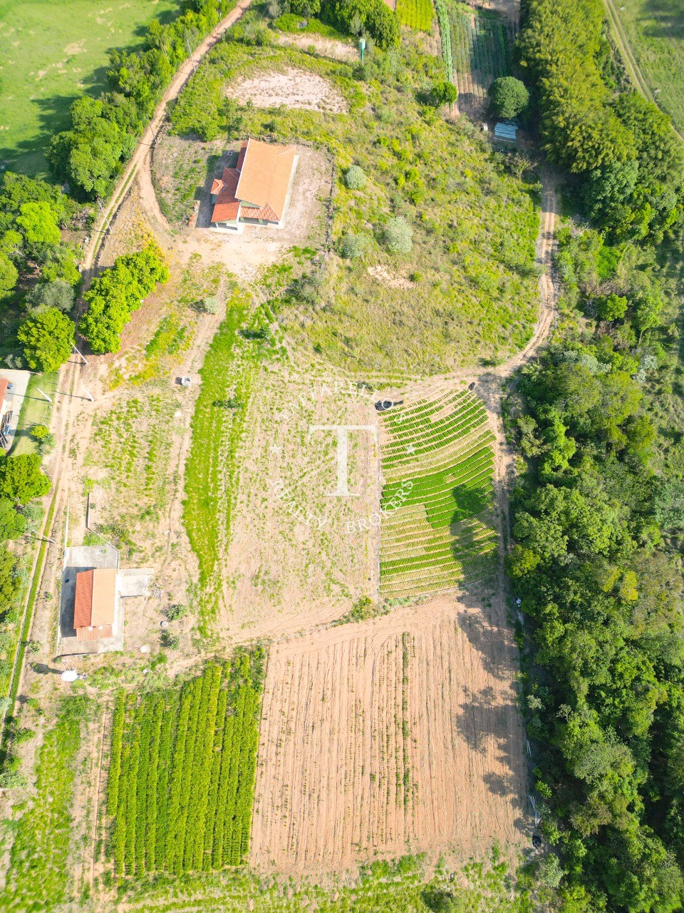 Fazenda à venda com 3 quartos, 318m² - Foto 6