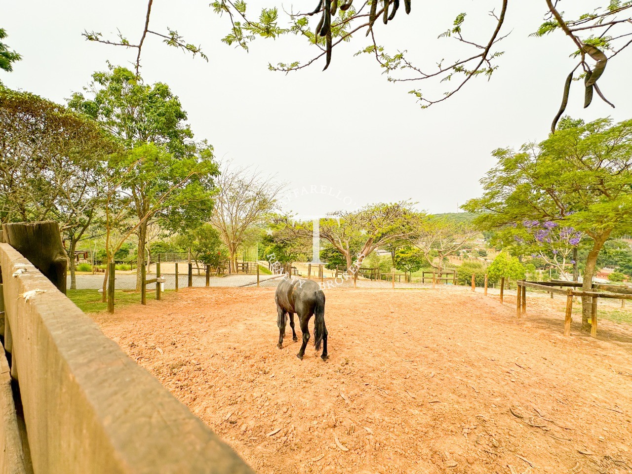 Fazenda à venda com 2 quartos, 1050m² - Foto 94